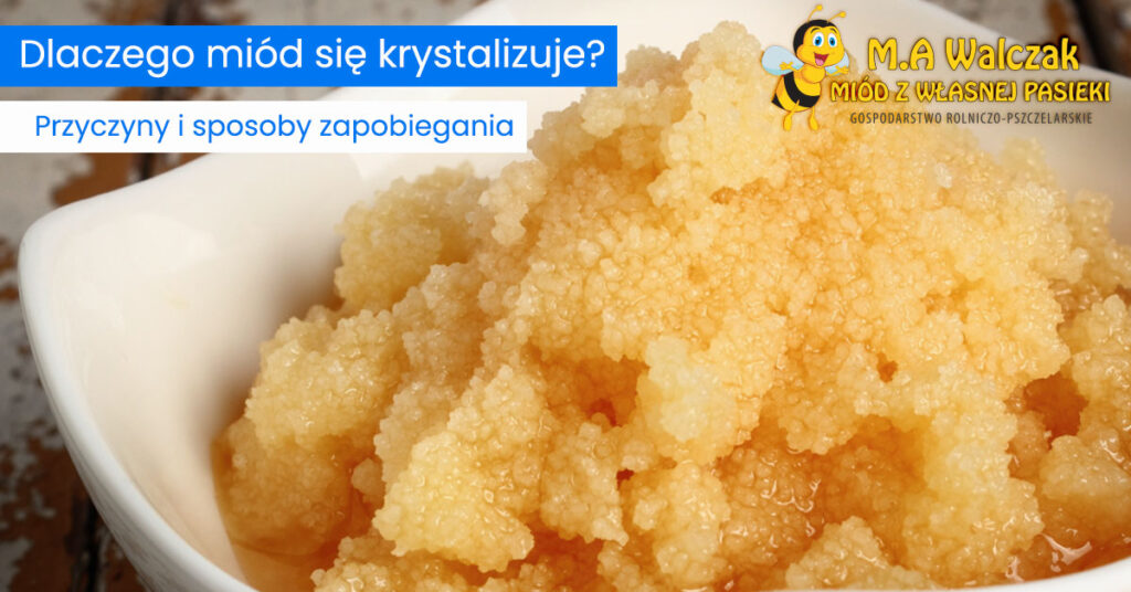 Read more about the article Dlaczego miód się krystalizuje – przyczyny i sposoby zapobiegania