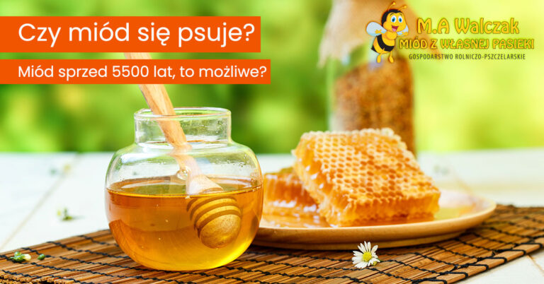Read more about the article Czy miód się psuje? Miód sprzed 5500 lat, to możliwe?