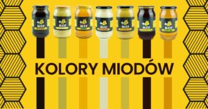 Read more about the article Kolory miodów