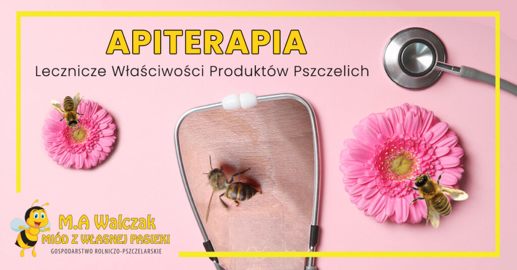 Read more about the article Apiterapia: Lecznicze Właściwości Produktów Pszczelich