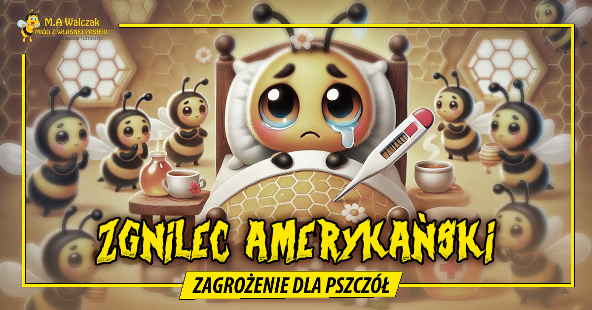 You are currently viewing Zgnilec amerykański